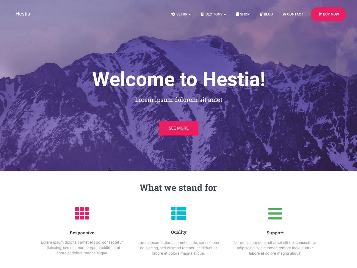 Best Free Gutenberg Compatible WordPress Themes 2020 6