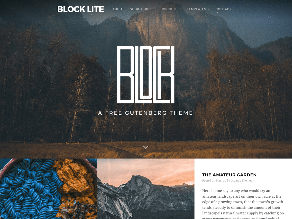 Best Free Gutenberg Compatible WordPress Themes 2020 7