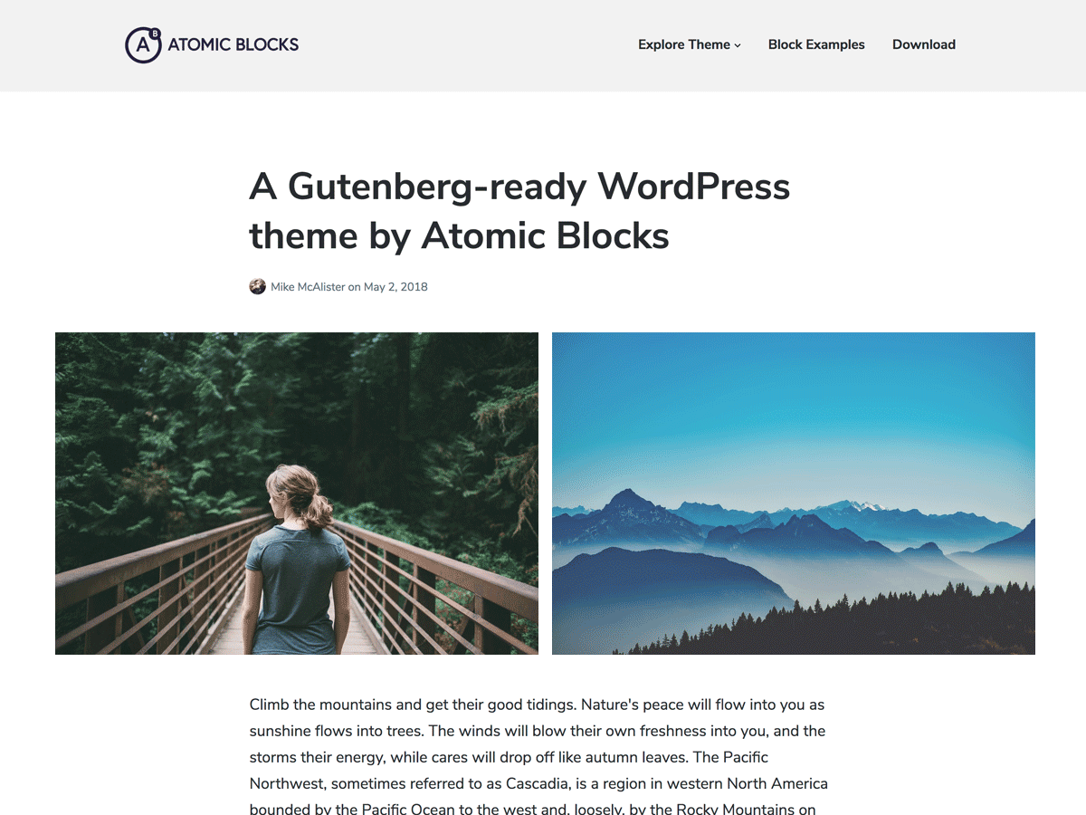 Best Free Gutenberg Compatible WordPress Themes 2020 9