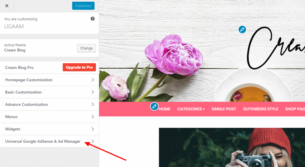 UGAAM Plugin Documentation 3 UGAAM Plugin Documentation 3